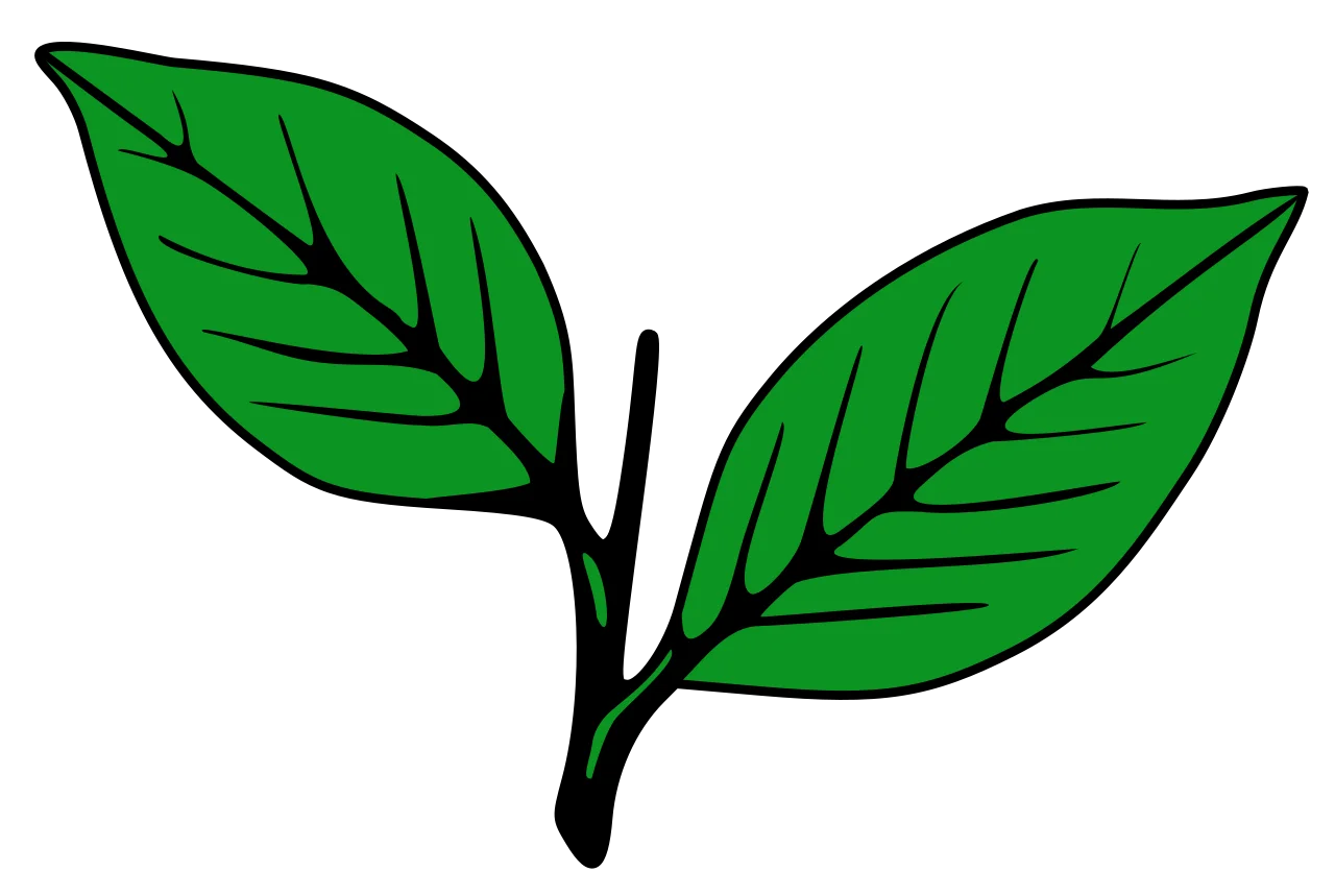 AIADMK