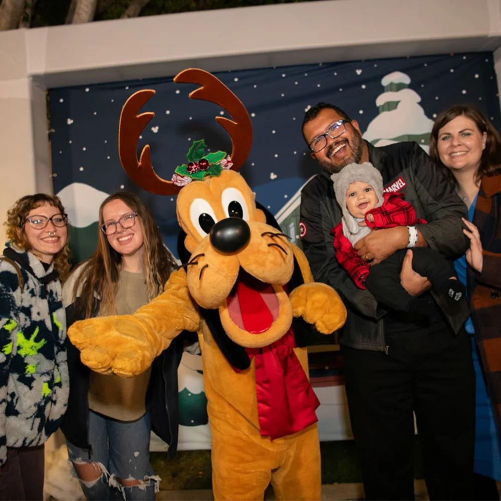 D23