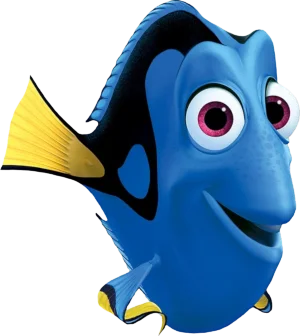 Dory