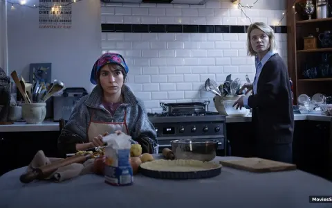 Diary of a Chambermaid Radu Jude Review: Cannes 2026