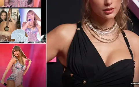 Taylor Swift Paper Airplane Fan Gift: Full Story & Note