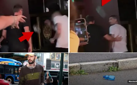 Zayn Malik Bottle Incident: What Happened at the Kingston Q&A?